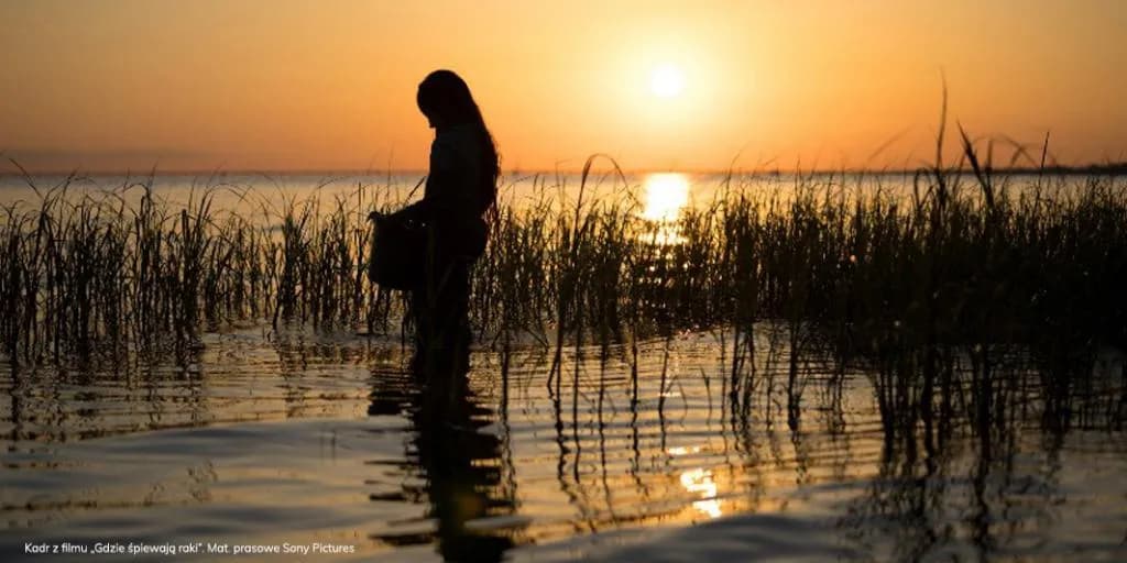 Książka gdzie śpiewają raki – emocjonująca opowieść o samotności i miłości Książka gdzie śpiewają raki – emocjonująca opowieść o samotności i miłości
