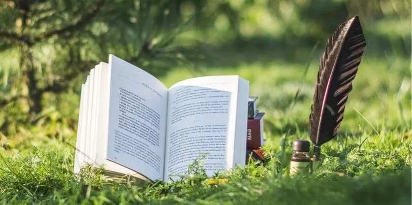 Co to jest recenzja książki i jak wpływa na wybór lektury? Co to jest recenzja książki i jak wpływa na wybór lektury?