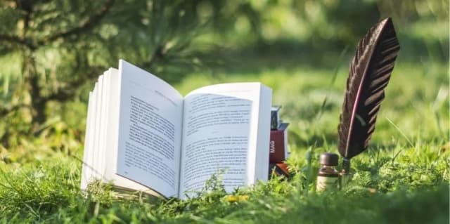 Co to jest recenzja książki i jak wpływa na wybór lektury? Co to jest recenzja książki i jak wpływa na wybór lektury?