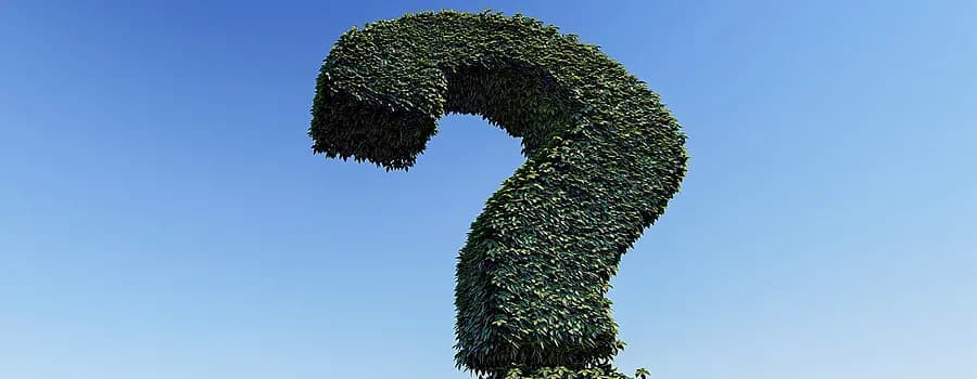 Kto pyta nie błądzi cytaty – poznaj mądrość przysłowia i jego znaczenie Kto pyta nie błądzi cytaty – poznaj mądrość przysłowia i jego znaczenie