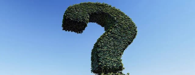 Kto pyta nie błądzi cytaty – poznaj mądrość przysłowia i jego znaczenie Kto pyta nie błądzi cytaty – poznaj mądrość przysłowia i jego znaczenie